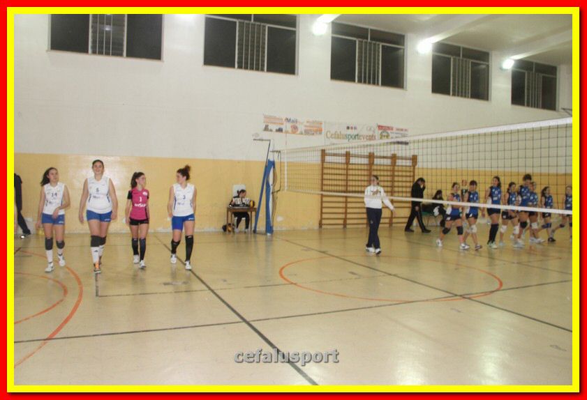 140305 Primula 039_tn.jpg